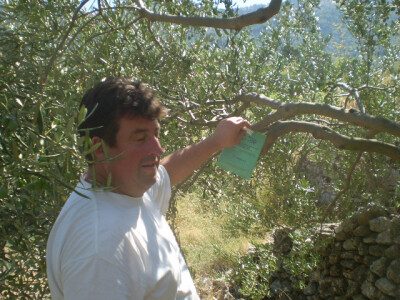 Đordan Gurdulić Đordan Gurdulić