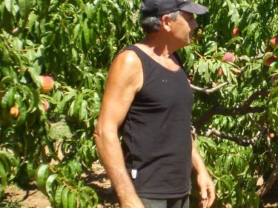 Mario Radonić