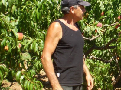 Mario Radonić Mario Radonić