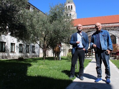 I fratri na Humcu sade masline