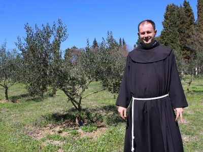 I fratri na Humcu sade masline