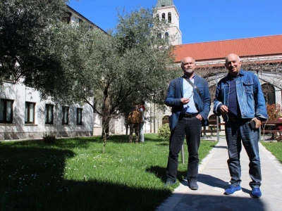 I fratri na Humcu sade masline