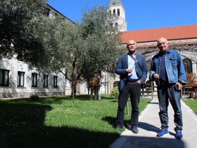 I fratri na Humcu sade masline I fratri na Humcu sade masline