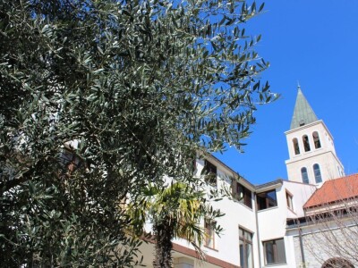 I fratri na Humcu sade masline I fratri na Humcu sade masline