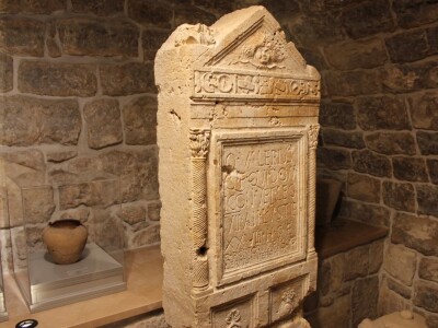 I fratri na Humcu sade masline I fratri na Humcu sade masline