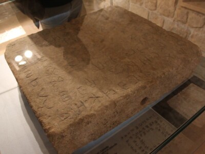 I fratri na Humcu sade masline I fratri na Humcu sade masline