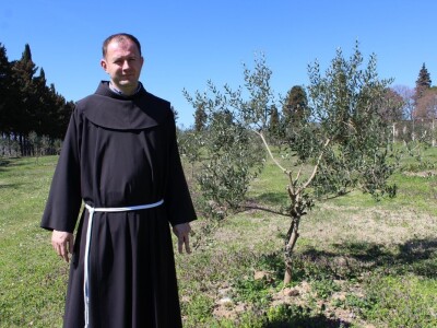 I fratri na Humcu sade masline I fratri na Humcu sade masline