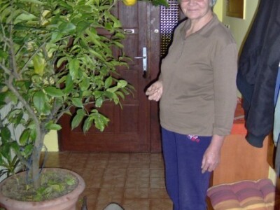 I Katarina preko zime limun čuva u hodniku