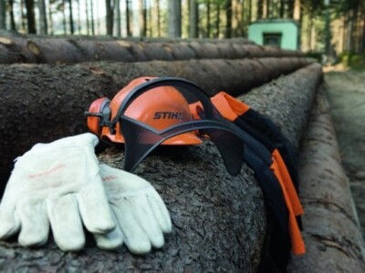 Sječa ogrjevnog drveta