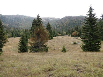 I Štokić duliba ide pod zaštitu I Štokić duliba ide pod zaštitu