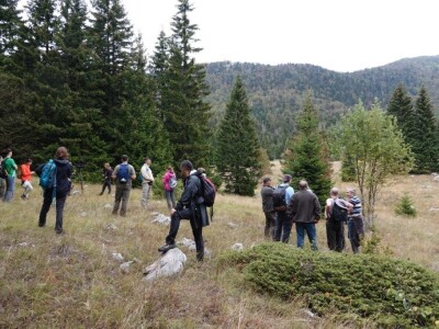 I Štokić duliba ide pod zaštitu I Štokić duliba ide pod zaštitu
