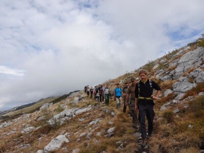 I Štokić duliba ide pod zaštitu I Štokić duliba ide pod zaštitu