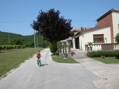 I Draženov unuk uživa u ambijentu plantaže badema i eko vrta vozeći bicikl I Draženov unuk uživa u ambijentu plantaže badema i eko vrta vozeći bicikl