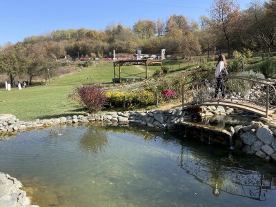 I visočki faraoni bi mastili brkove Babićevom pečenicom