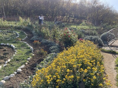 I visočki faraoni bi mastili brkove Babićevom pečenicom