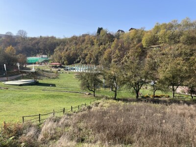 I visočki faraoni bi mastili brkove Babićevom pečenicom