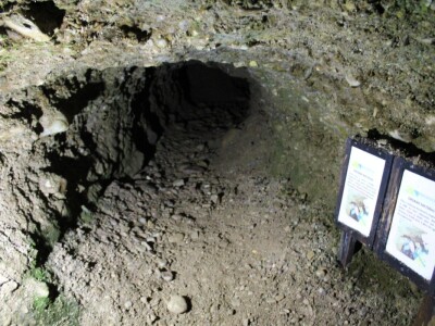 I visočki faraoni bi mastili brkove Babićevom pečenicom