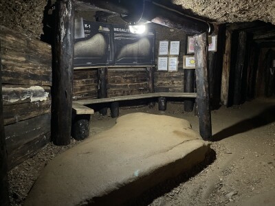 I visočki faraoni bi mastili brkove Babićevom pečenicom