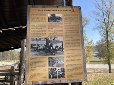 I visočki faraoni bi mastili brkove Babićevom pečenicom