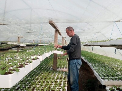 Iako je sve poskupilo, mi nećemo povećati cijenu rasada Iako je sve poskupilo, mi nećemo povećati cijenu rasada