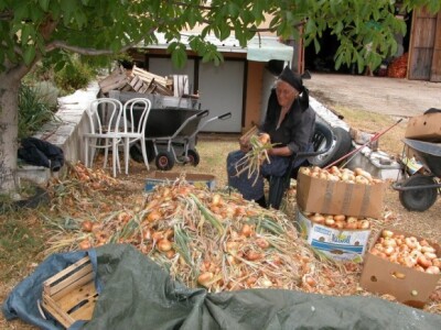 Iako ima 85 godina života, baka Mara ima pune ruke posla