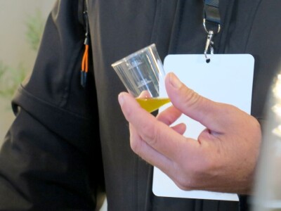 : Iako su ulja vrhunske kvalitete, istarski maslinari nezadovoljni randmanom. Zbog suše i kiše, ulja će na tržištu biti manje uz neznatan porast cijena zbog poskupjele prerade – zaključuju senzorni oc