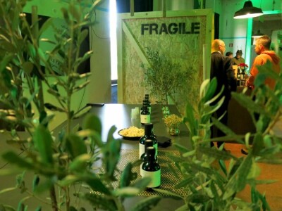 : Iako su ulja vrhunske kvalitete, istarski maslinari nezadovoljni randmanom. Zbog suše i kiše, ulja će na tržištu biti manje uz neznatan porast cijena zbog poskupjele prerade – zaključuju senzorni oc