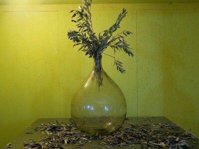 : Iako su ulja vrhunske kvalitete, istarski maslinari nezadovoljni randmanom. Zbog suše i kiše, ulja će na tržištu biti manje uz neznatan porast cijena zbog poskupjele prerade – zaključuju senzorni oc