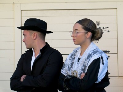 : Iako su ulja vrhunske kvalitete, istarski maslinari nezadovoljni randmanom. Zbog suše i kiše, ulja će na tržištu biti manje uz neznatan porast cijena zbog poskupjele prerade – zaključuju senzorni oc