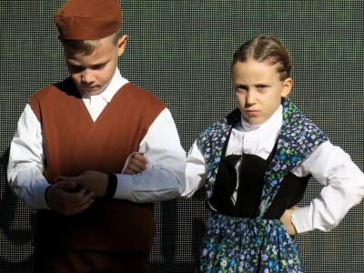 : Iako su ulja vrhunske kvalitete, istarski maslinari nezadovoljni randmanom. Zbog suše i kiše, ulja će na tržištu biti manje uz neznatan porast cijena zbog poskupjele prerade – zaključuju senzorni oc