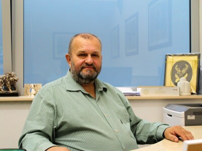 Divlje životinje na cesti