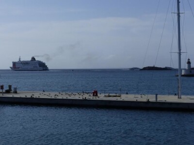 SCARYBIRD - Efikasno i na moru protiv galebova