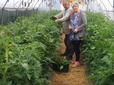 Ibrahim i Jasminka Ajanović: Uz plastenik se podmlađujemo Ibrahim i Jasminka Ajanović: Uz plastenik se podmlađujemo