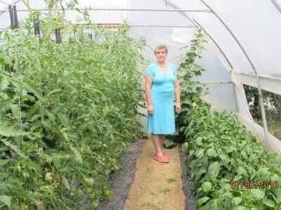 Ibrahim i Jasminka Ajanović: Uz plastenik se podmlađujemo Ibrahim i Jasminka Ajanović: Uz plastenik se podmlađujemo