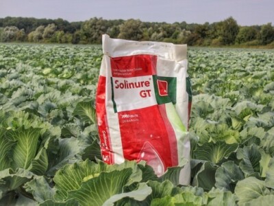 Solinure GT na OPG Aleksandar Stambolija