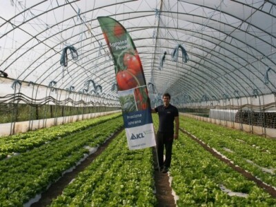 Nikola Vasiljević na svom PG-u