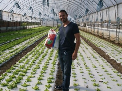 Nikola Vasiljević, Plastenik