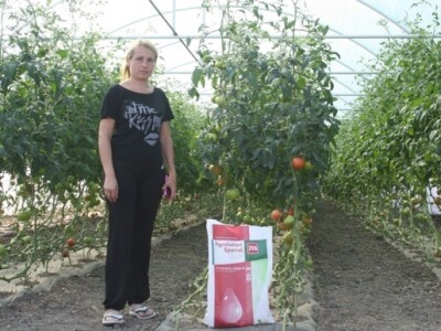 Gordana Tomić, Poljane