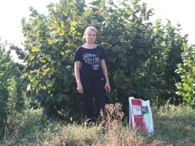 Gordana Tomić u nasadu lješnjaka