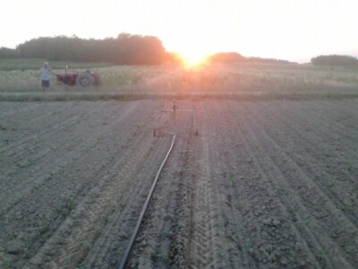 Idrofoglia Jolly turbocar