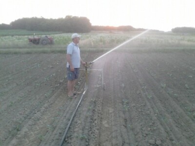 Idrofoglia Jolly turbocar