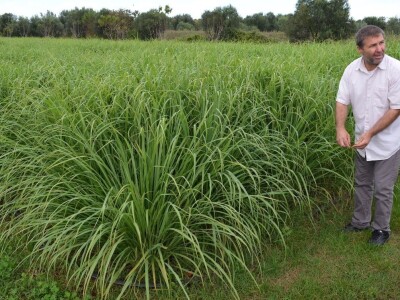 IENA 2018 - Odličja i iz Nürnberga: Iva i Božo Grginović osvojili četiri medalje za sokove od limunske trave!