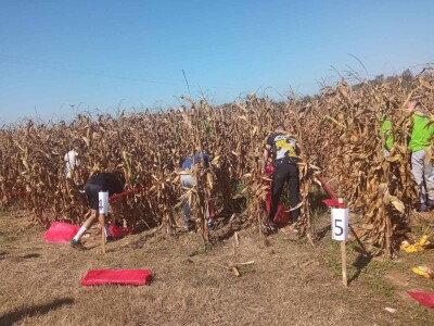 II međunarodno takmičenje u ručnoj berbi kukuruza II međunarodno takmičenje u ručnoj berbi kukuruza