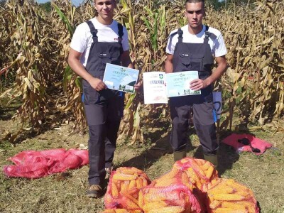 II međunarodno takmičenje u ručnoj berbi kukuruza II međunarodno takmičenje u ručnoj berbi kukuruza