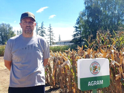 Dan polja BC hibrida kukuruza i suncokreta te sorti soje