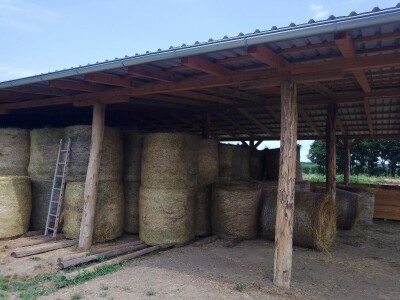 Il de France ovce na OPG-u Saše Horvata