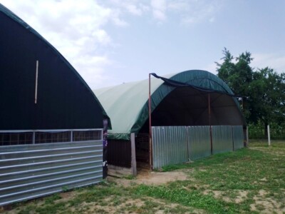 Il de France ovce na OPG-u Saše Horvata