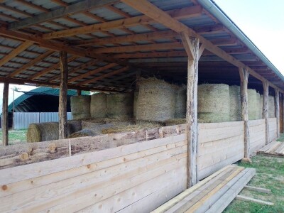 Il de France ovce na OPG-u Saše Horvata