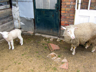 Il de frans obezbeđuje profit