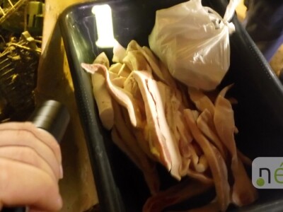 Ilegalna mađarska klaonica